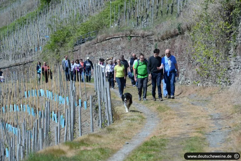 Wein-, Wander- und Kulturgenuss am WeinWanderWochenende