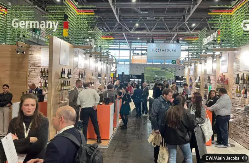 Vinexpo 2024: Deutsche Weine in Norwegen auf der Erfolgsspur