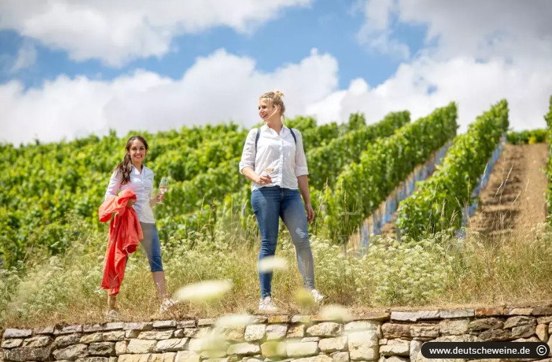 Wandern, wo der Wein wächst: am 26. und 27. April